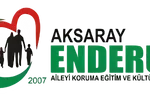 kuruluslar aksaray enderun
